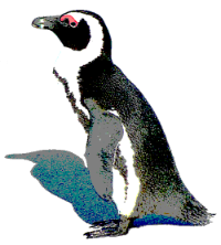 TheLonePenguin